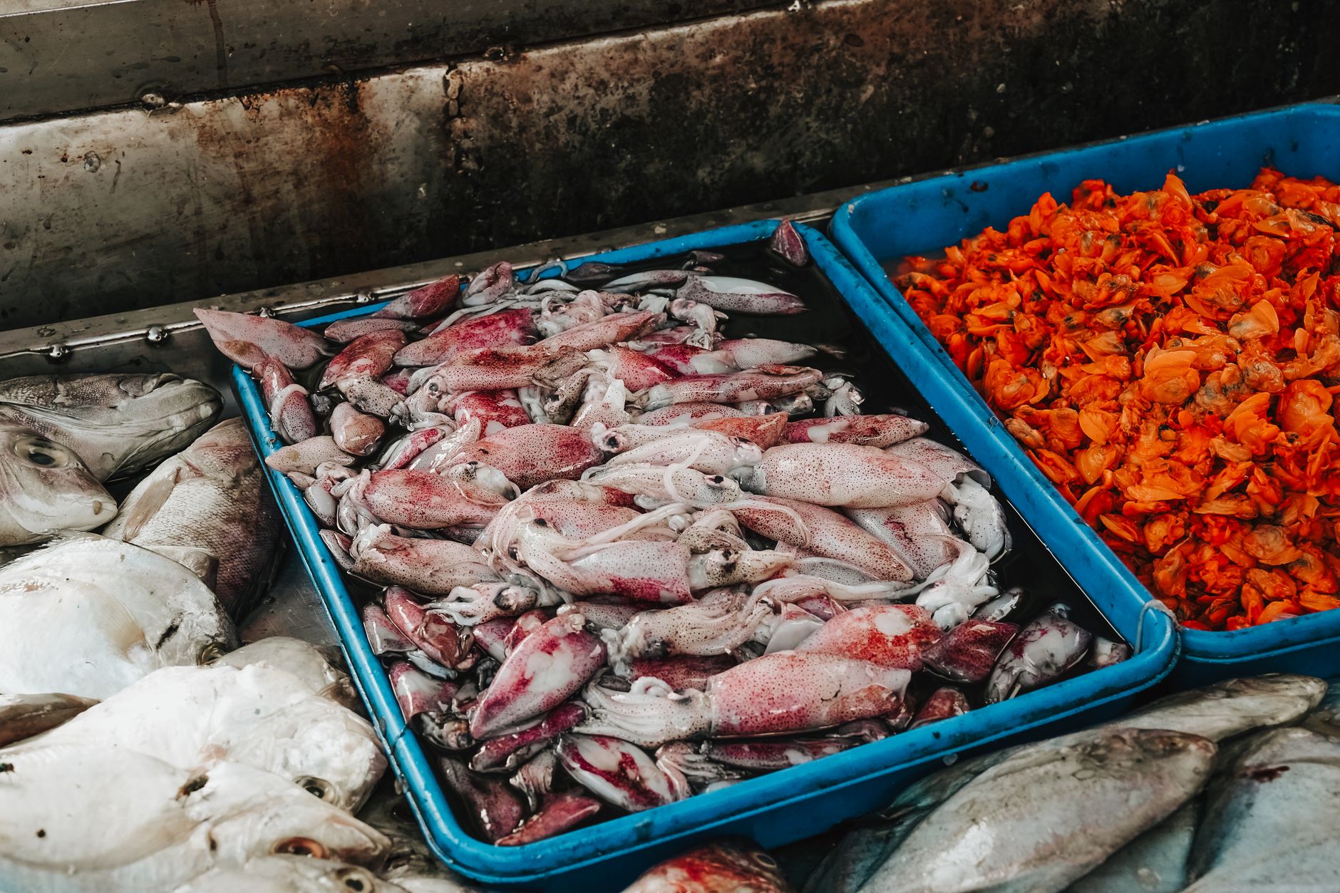 Cumi Saus Padang
