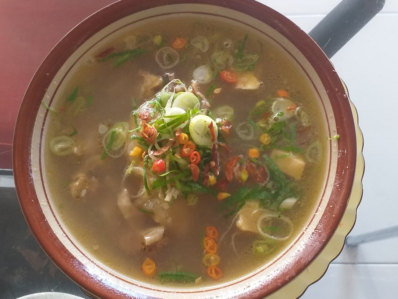 Kaledo Palu