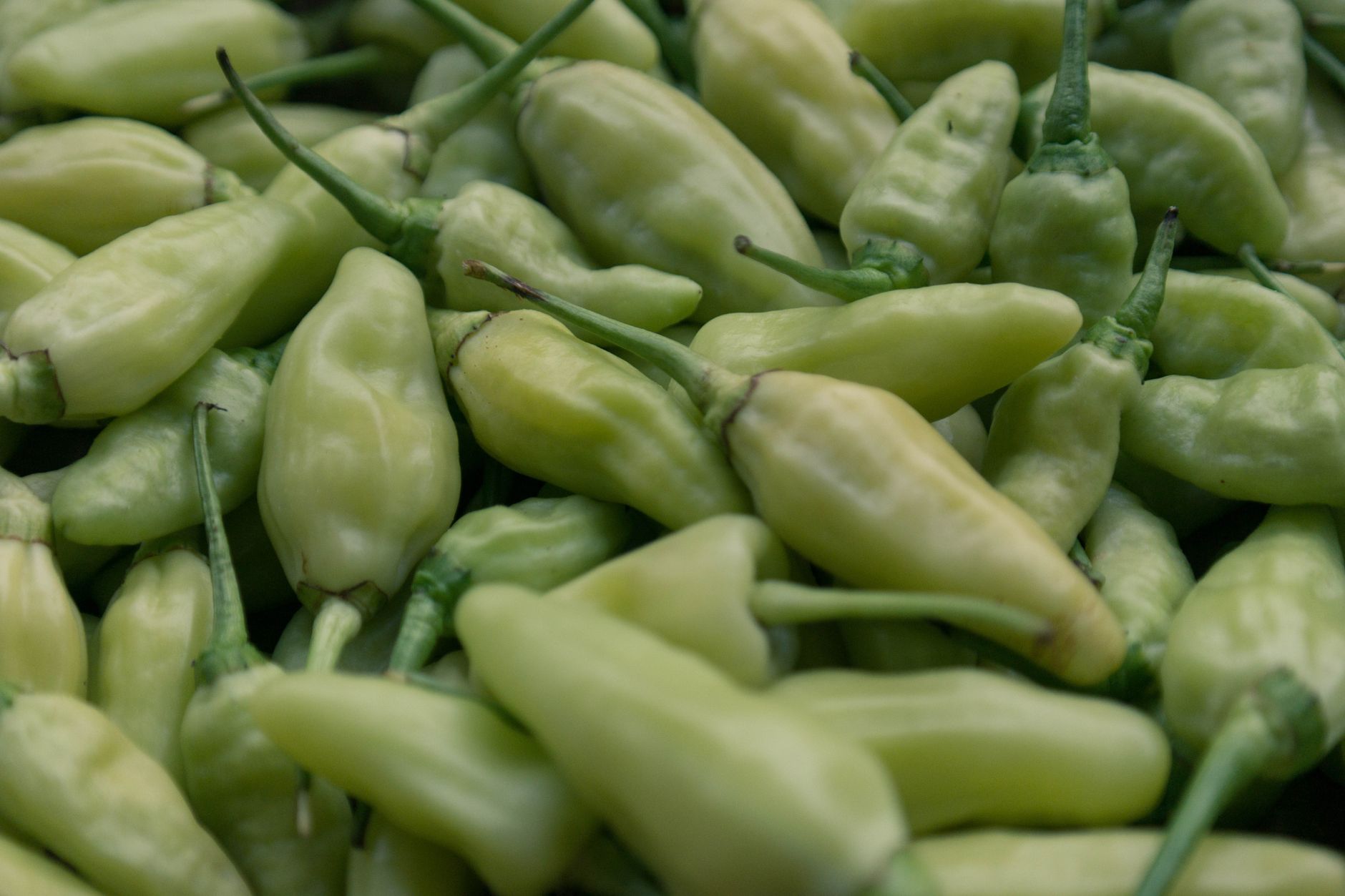 Sambal Dabu-Dabu